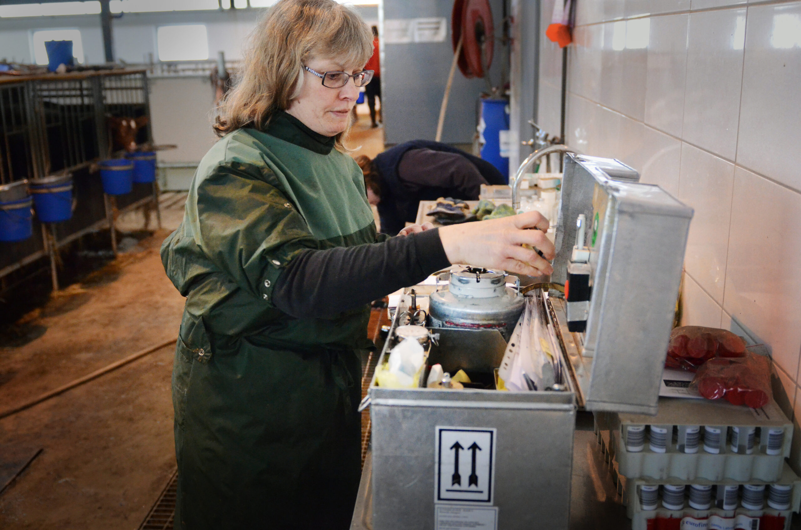 Kvinna i grön skyddsrock och glasögon arbetar vid en rostfri arbetsstation och hanterar laboratorieutrustning och provrör. Miljön liknar ett stall- eller djurlabb, med boxar och blå hinkar i bakgrunden.