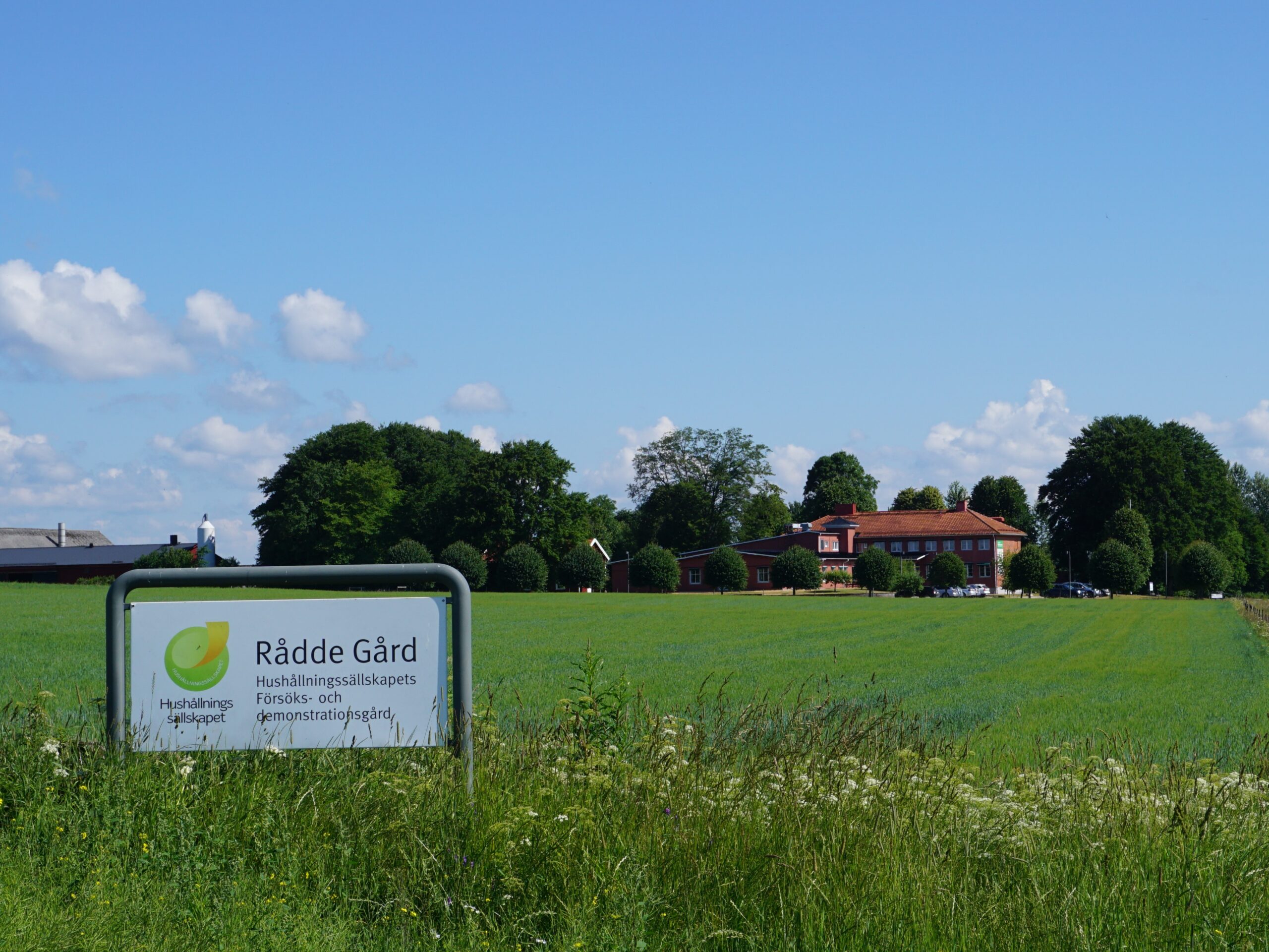 Skylt i förgrunden visar texten ”Rådde Gård” och ”Hushållningssällskapets försöks- och demonstrationsgård”. Skylten står vid en grön åker, med en röd gårdsbyggnad och träd i bakgrunden under klarblå himmel.