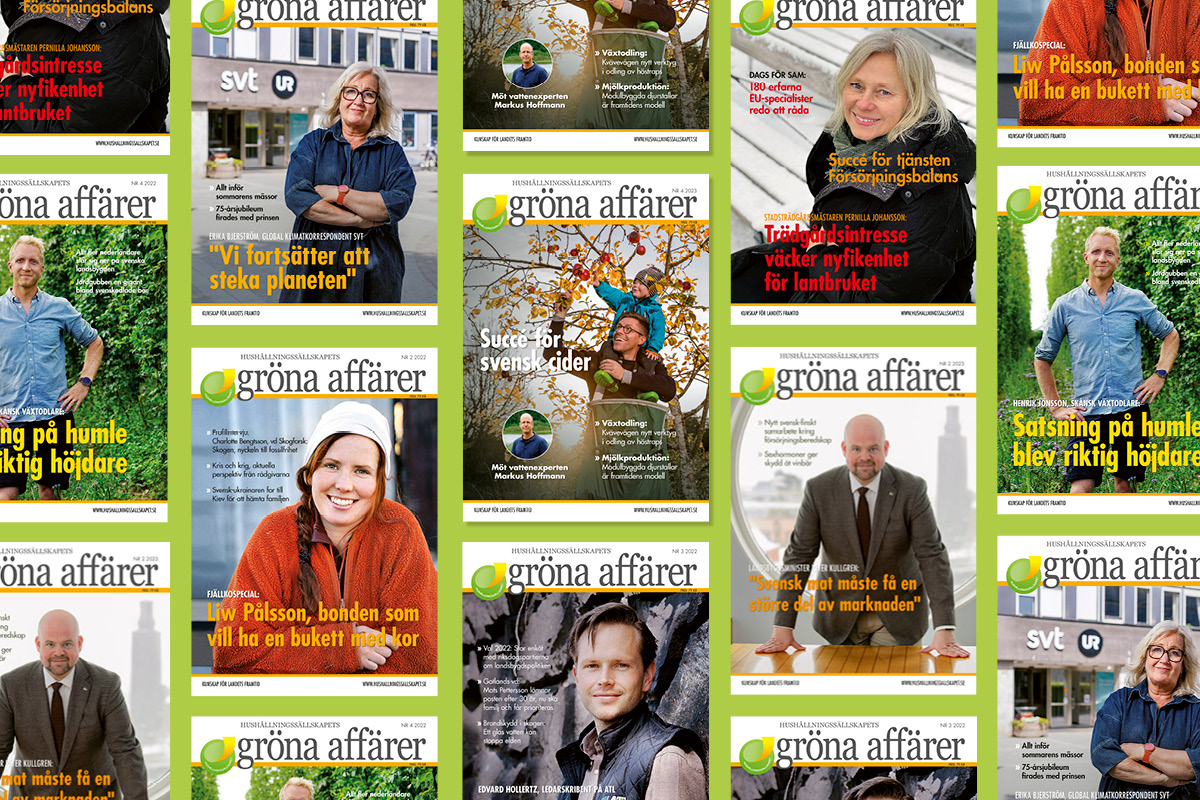 En bild som visar olika exemplar av tidningen Gröna Affärer från Hushållningssällskapet