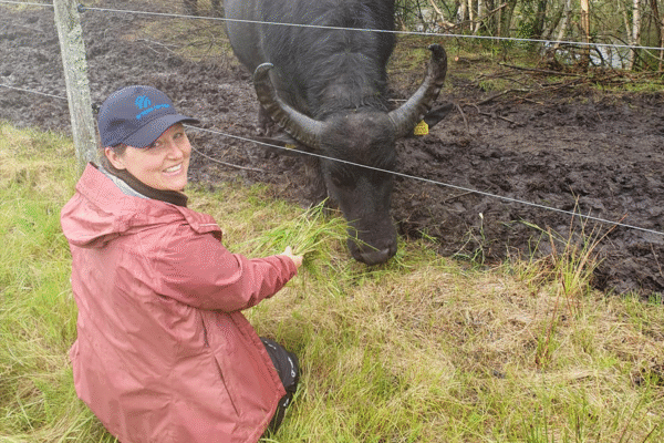 Lisa Feuerbach-Wengel sitter på huk vid ett stängsel och matar en vattenbuffel med färskt gräs. Hon bär en mörkblå keps med loggan "Greppa Näringen" och en röd regnjacka. Buffeln står i en lerig hage och sträcker sig genom stängslet för att nå gräset. Skogen syns i bakgrunden.