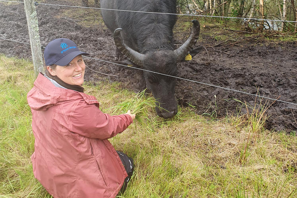 Lisa Feuerbach-Wengel sitter på huk vid ett stängsel och matar en vattenbuffel med färskt gräs. Hon bär en mörkblå keps med loggan "Greppa Näringen" och en röd regnjacka. Buffeln står i en lerig hage och sträcker sig genom stängslet för att nå gräset. Skogen syns i bakgrunden.