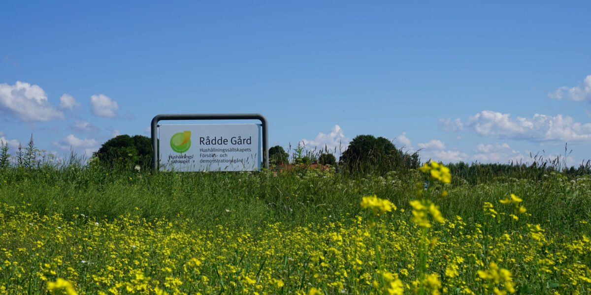 Skylt vid en grön äng med gula blommor visar texten: ”Rådde Gård. Hushållningssällskapets Försöks- och demonstrationsgård!” samt ”Hushållningssällskapet”. Skylten står mot blå himmel med moln och träd i bakgrunden.