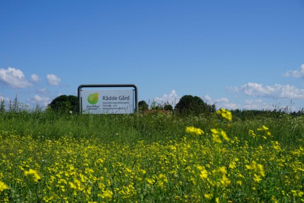 Skylt vid en grön äng med gula blommor visar texten: ”Rådde Gård. Hushållningssällskapets Försöks- och demonstrationsgård!” samt ”Hushållningssällskapet”. Skylten står mot blå himmel med moln och träd i bakgrunden.