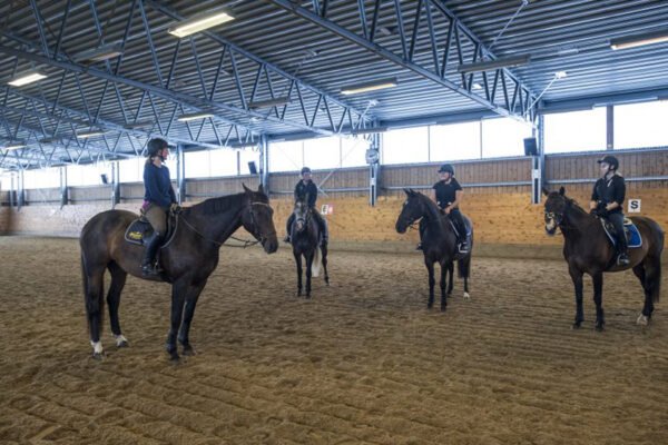 Fyra ryttare sitter upp på hästar och står stilla i en inomhusridhus med sandunderlag, som vid en ridlektion. Dagsljus kommer in genom höga fönster, och väggen har skyltar med bokstäverna ”E” och ”S”.