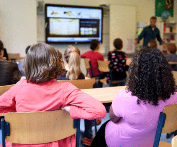 Barn i skolåldern som kollar på en tavla, ryggtavla syns endast av barnen