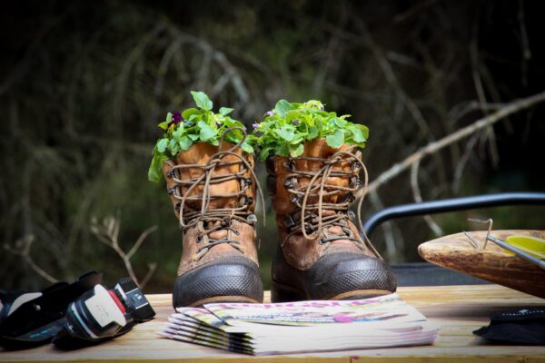 Två slitna vandringskängor används som blomkrukor och står på ett bord, fyllda med gröna plantor och små lila blommor. Framför ligger en bunt broschyrer; runtom syns kamerautrustning och en tallrik.