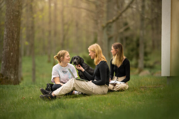 Tre unga kvinnor sitter på gräset i en park och samtalar. En av dem klappar en svart hund, medan en annan har en öppen laptop i knät och den tredje håller anteckningsblock, nära en byggnad.