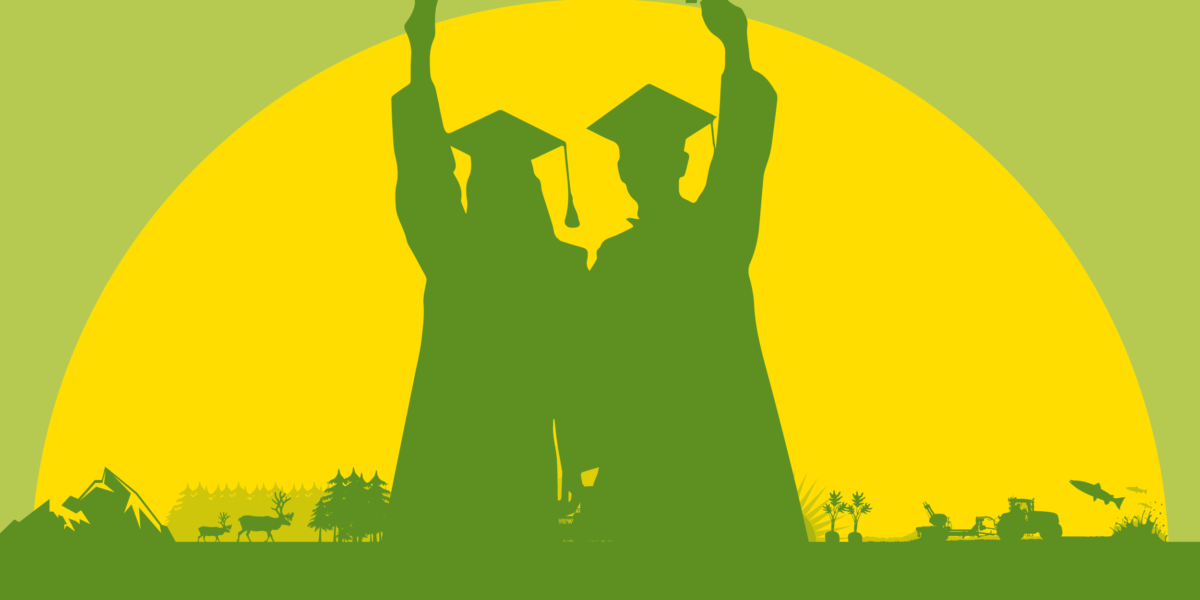 Två studenter i siluett håller upp examensrullar och firar framför en stor gul sol. I förgrunden syns ett grönt landskap med skog, renar, planteringar, traktorer och ett flygplan, som antyder en grön framtid.