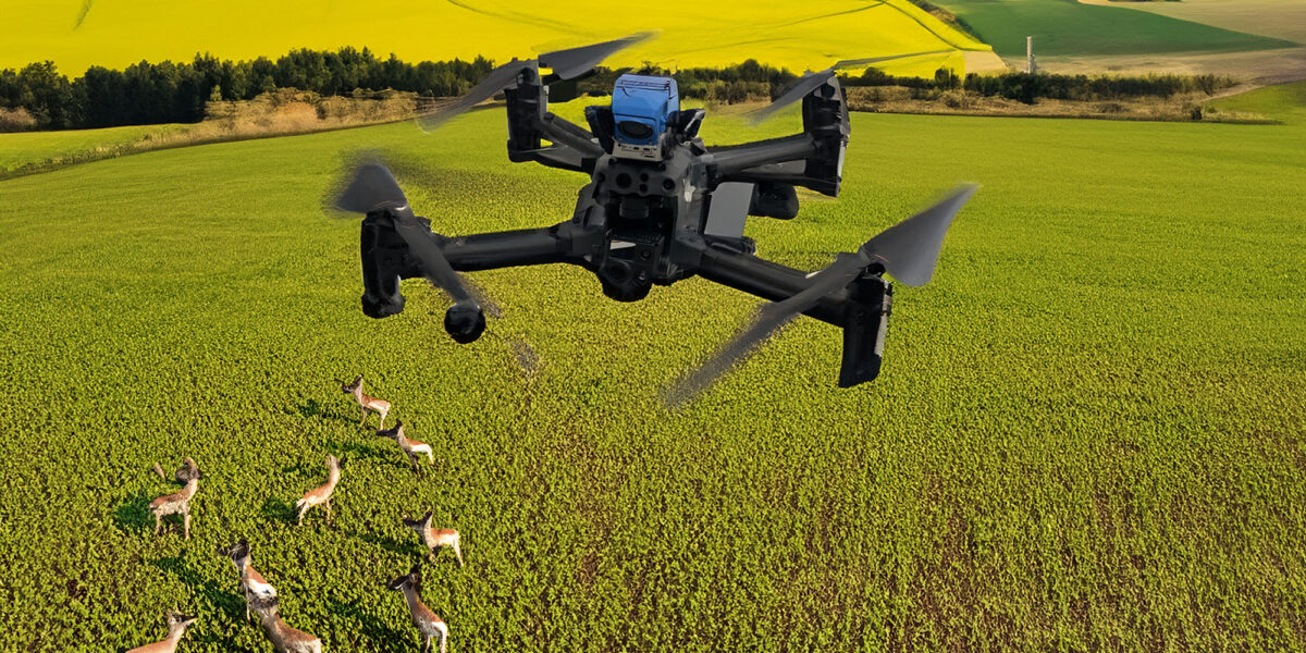 En svart quadkopterdrönare hovrar lågt över en grön åker medan en flock rådjur rör sig och tittar upp nedanför. I bakgrunden syns böljande jordbruksfält i grönt och gult.