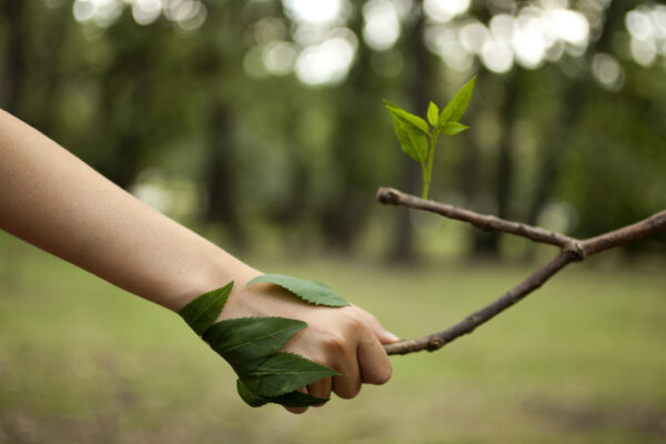 Handslag med naturen