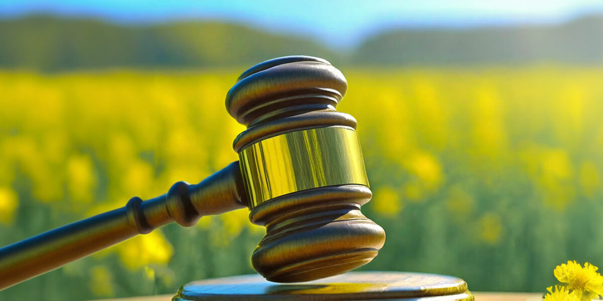 Träklubba och domarklubba ligger lutad mot en rund klubbplatta i förgrunden, med en suddig gul rapsåker och mjuka kullar i bakgrunden, vilket ger en symbolisk känsla av beslut och årsmöte.