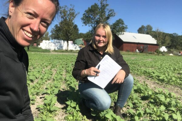 Två personer är ute på en åker med små gröna plantor; en kvinna ler nära kameran medan en annan hukar och håller anteckningsblock och penna. I bakgrunden syns träd, ensilagebalar och en röd ladugård i soligt väder.