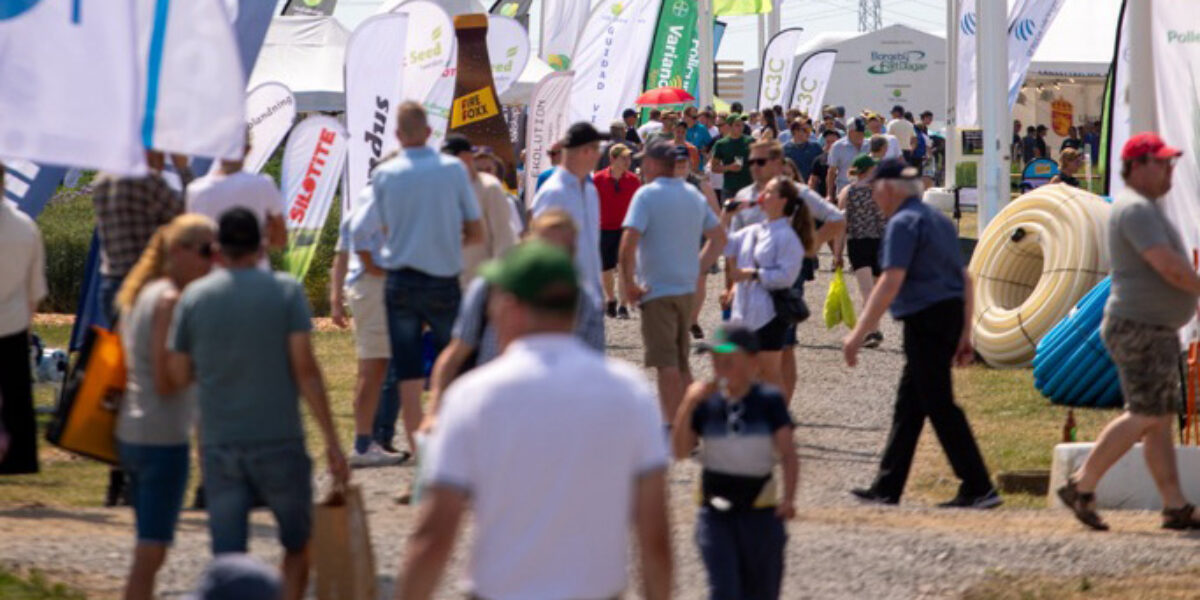 Besökare promenerar längs en grusgång på en utomhusmässa, omgivna av många reklambanderoller och flaggor som vajar i vinden. I bakgrunden syns fler människor, montrar och elledningar; till höger ligger stora hoprullade rör.