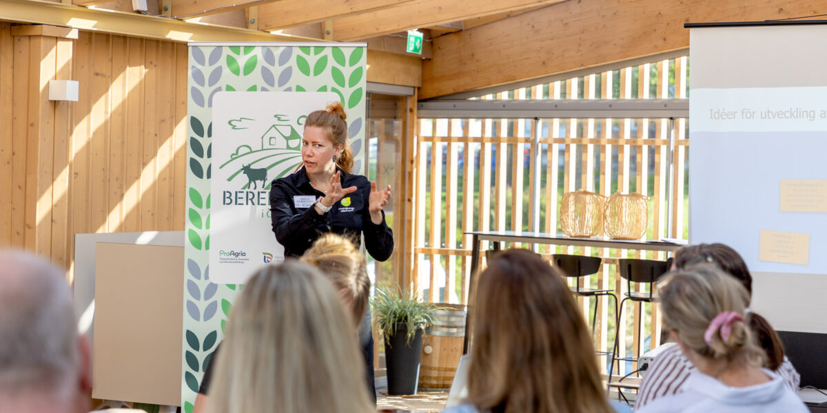 Kvinna föreläser och gestikulerar med händerna inför en sittande publik i en ljus lokal med träväggar. Bakom henne syns en banderoll med texten ”BERE” och logotyper, samt en projektorduk med ”Idéer för utveckling”.