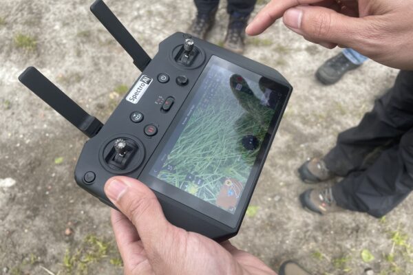 Händer håller en drönarfjärrkontroll med två antenner och pekar på pekskärmen som visar en närbild av gräs. På kontrollen syns texten “Specto AI”, och personer står på grusmark i bakgrunden.