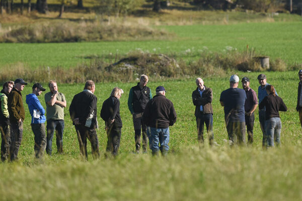 En grupp personer står i en cirkel och samtalar ute på en grön åker. De verkar delta i en guidad genomgång eller fältbesök, med skogsklädd bakgrund och höstfärger under klar himmel.