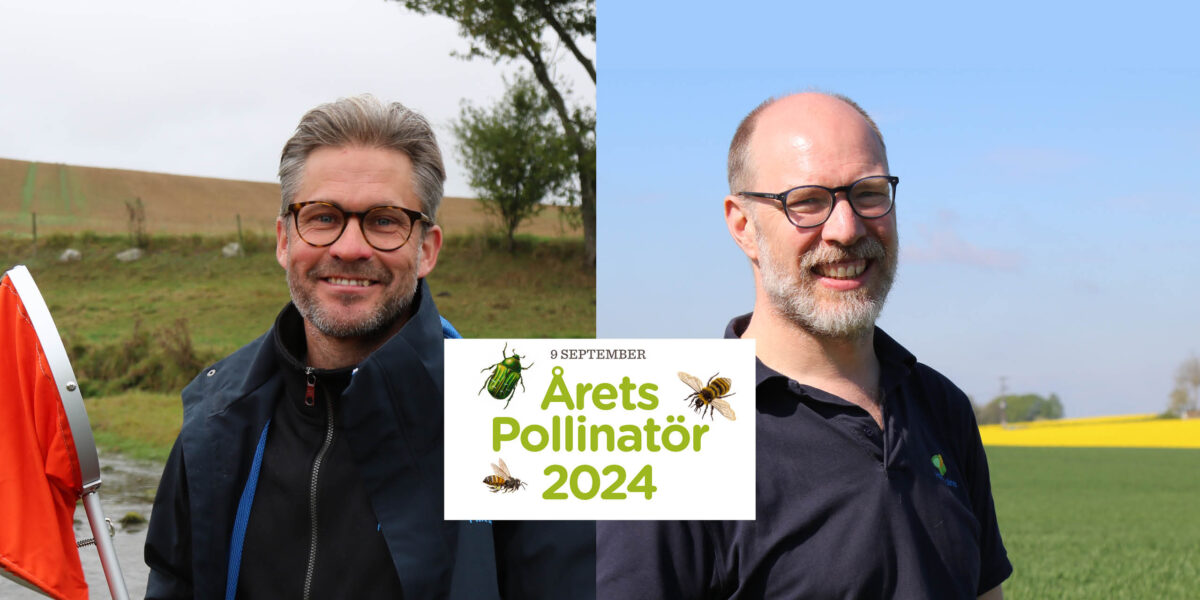 Två leende män med glasögon står utomhus i ett jordbrukslandskap, med fält och träd i bakgrunden. Över deras torsor ligger en skylt med texten: “9 SEPTEMBER Årets Pollinatör 2024” och små insektsillustrationer.