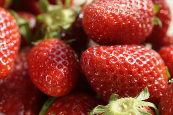 Närbild på flera mogna jordgubbar som ligger tätt ihop, med glansiga röda ytor och synliga frön. Några gröna foderblad syns i kanterna, och det starka ljuset framhäver fruktens saftiga struktur.
