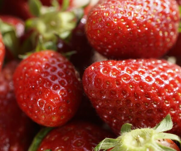 Närbild på flera mogna jordgubbar som ligger tätt ihop, med glansiga röda ytor och synliga frön. Några gröna foderblad syns i kanterna, och det starka ljuset framhäver fruktens saftiga struktur.