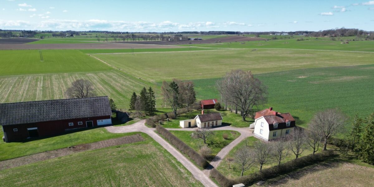 Flygfoto visar en gård med stor röd ladugård, mindre ekonomibyggnader och ett vitt boningshus vid en grusväg, omgiven av gröna åkrar och spridda träd under klarblå himmel.