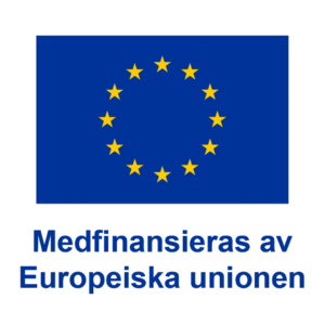 EU-logga med texten Medfinansieras av Europeiska unionen.