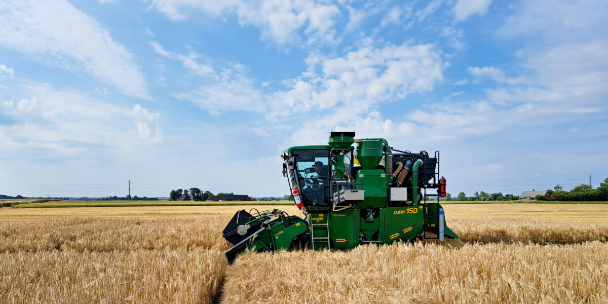 Grön skördetröska kör och skär spannmål i ett gyllene vetefält, med föraren synlig i hytten. På sidan står texten “ZÜRN 150”. Klarblå himmel med spridda moln och gårdar i fjärran.