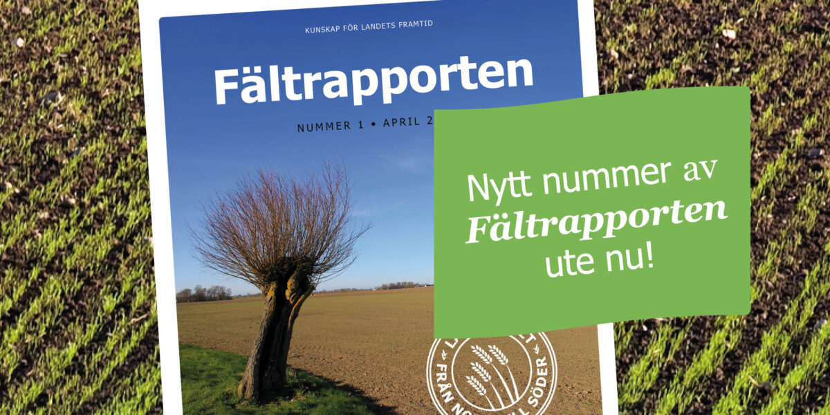 Omslag till rapporten ”Fältrapporten” ligger på ett fält, med foto av ensamt träd vid åkermark. Grön ruta: ”Nytt nummer av Fältrapporten ute nu!”.