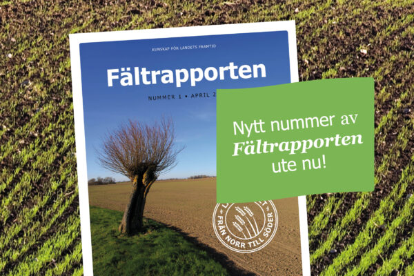 Omslag till rapporten ”Fältrapporten” ligger på ett fält, med foto av ensamt träd vid åkermark. Grön ruta: ”Nytt nummer av Fältrapporten ute nu!”.
