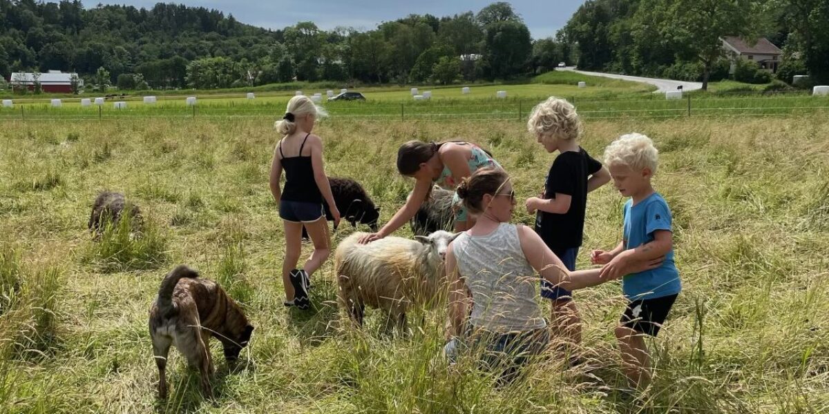 Barn och en vuxen klappar och matar får i en hög gräshage. Ett barn håller en liten hink medan andra står runt djuren. I bakgrunden syns gröna fält, skogsdungar och en landsväg under mulen himmel.