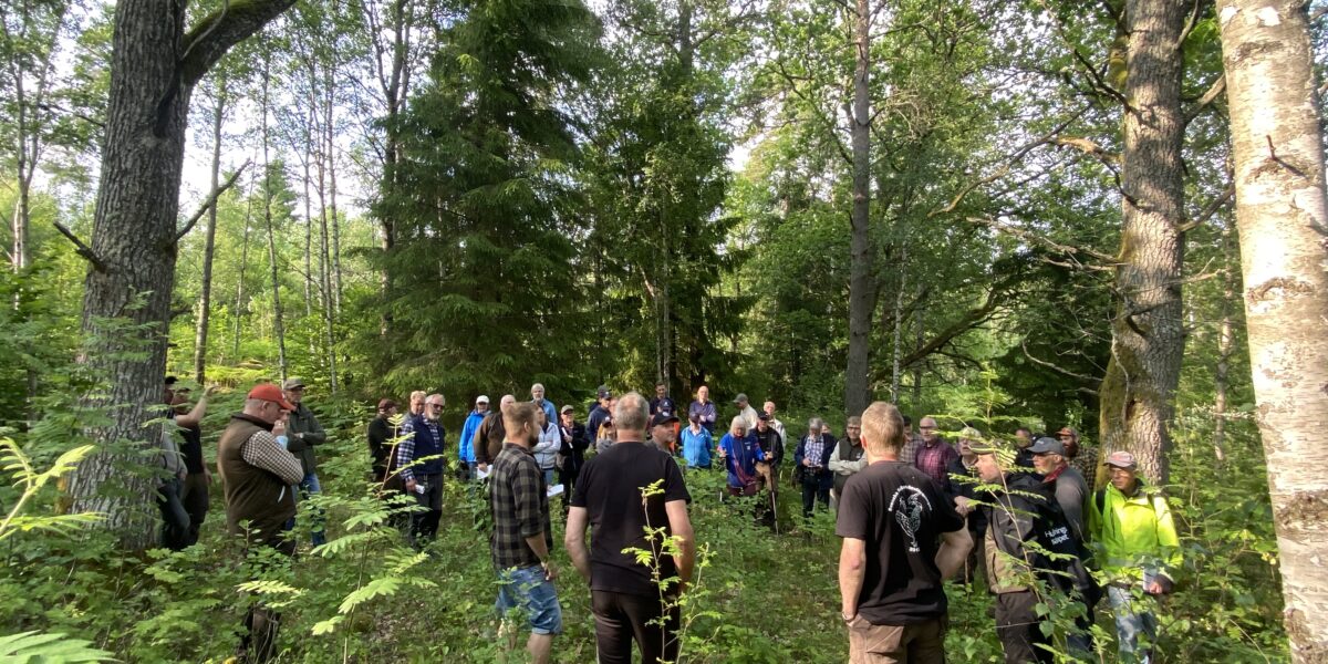 En grupp människor samlas och lyssnar på en person som talar i en grön, lövrik skog. Deltagarna står i en ring bland buskar och träd, flera i friluftskläder och kepsar, i dagsljus.