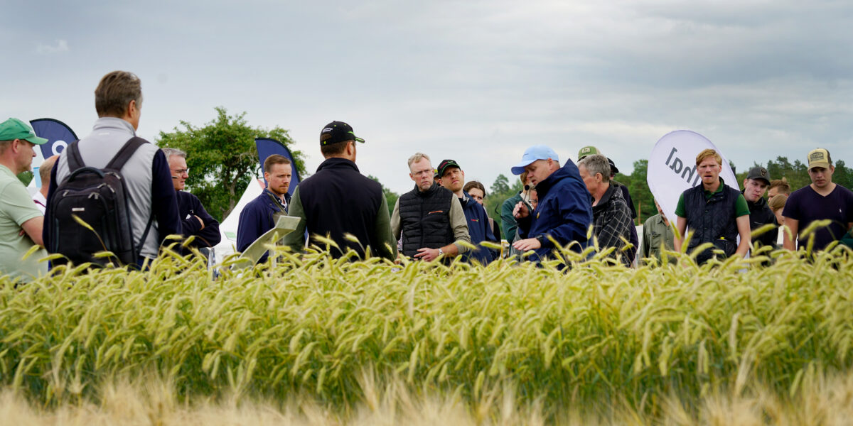 Grupp personer står och lyssnar när en man i blå jacka talar och gestikulerar, delvis dold bakom högt grönt spannmål. Utomhus på en fältdag med flaggor; en banderoll visar texten “Ion…”.