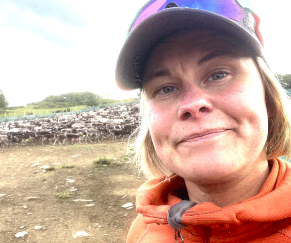 Kvinna i keps tar en selfie och ser in i kameran, med en stor renhjord i bakgrunden. Hon står på en grusig inhägnad med gröna nätstängsel och låga kullar under ljus himmel.
