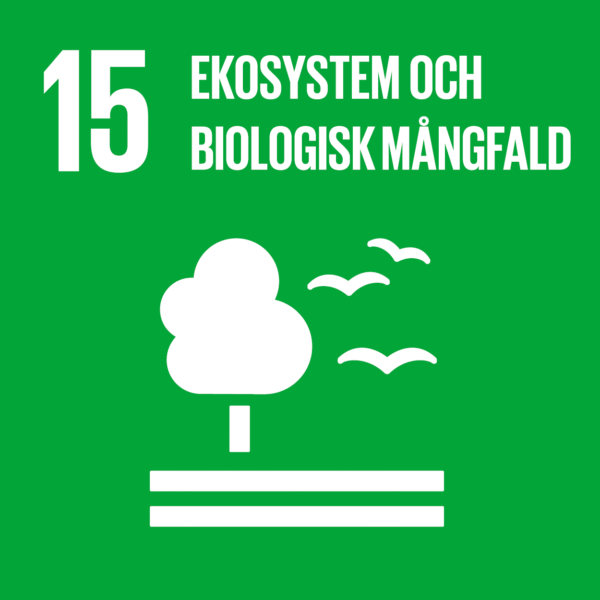 Grön ikon för Globala målen 15 med texten “15 EKOSYSTEM OCH BIOLOGISK MÅNGFALD”, som visar ett stiliserat vitt träd och tre flygande fåglar ovanför två horisontella linjer som mark.