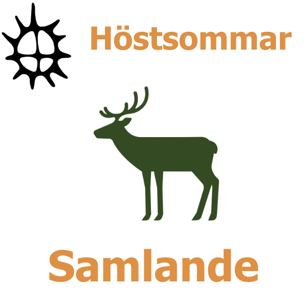 Grön siluett av en hjort står stilla under rubriken ”Höstsomm ar”, med en svart solsymbol till vänster. Nederst står texten ”Samlande”, på vit bakgrund som en enkel skylt eller ikon.