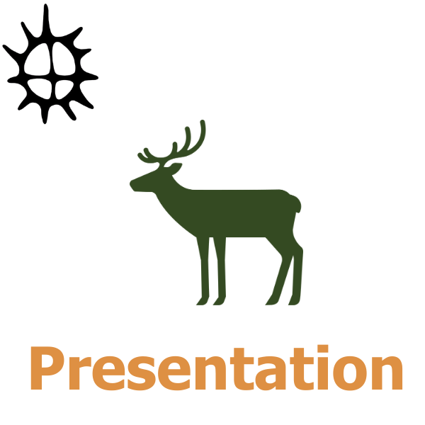 Grön siluett av en ren står stilla i profil mot vit bakgrund, med ett svart sol- eller stjärnliknande emblem uppe till vänster. Under figuren står texten “Presentation” i stor orange typ.