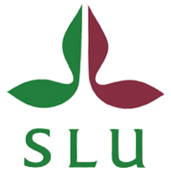 SLU-logotyp med två stiliserade blad, ett grönt och ett vinrött, som möts i mitten och bildar en symmetrisk form; under symbolen står texten “SLU” i gröna versaler mot vit bakgrund.
