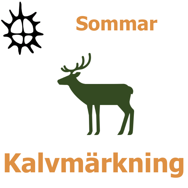 Ikoner visar en sol och en grön siluett av en älg med horn; de står mot vit bakgrund. Texten “Sommar” överst och “Kalvmärkning” stort längst ned, som en skylt för sommaraktiviteten.