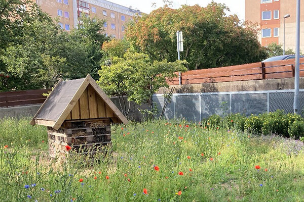 Grön stadsmiljö med blommande ängsblommor, träd och ett insektshotell som främjar biologisk mångfald mellan hus och vägar.