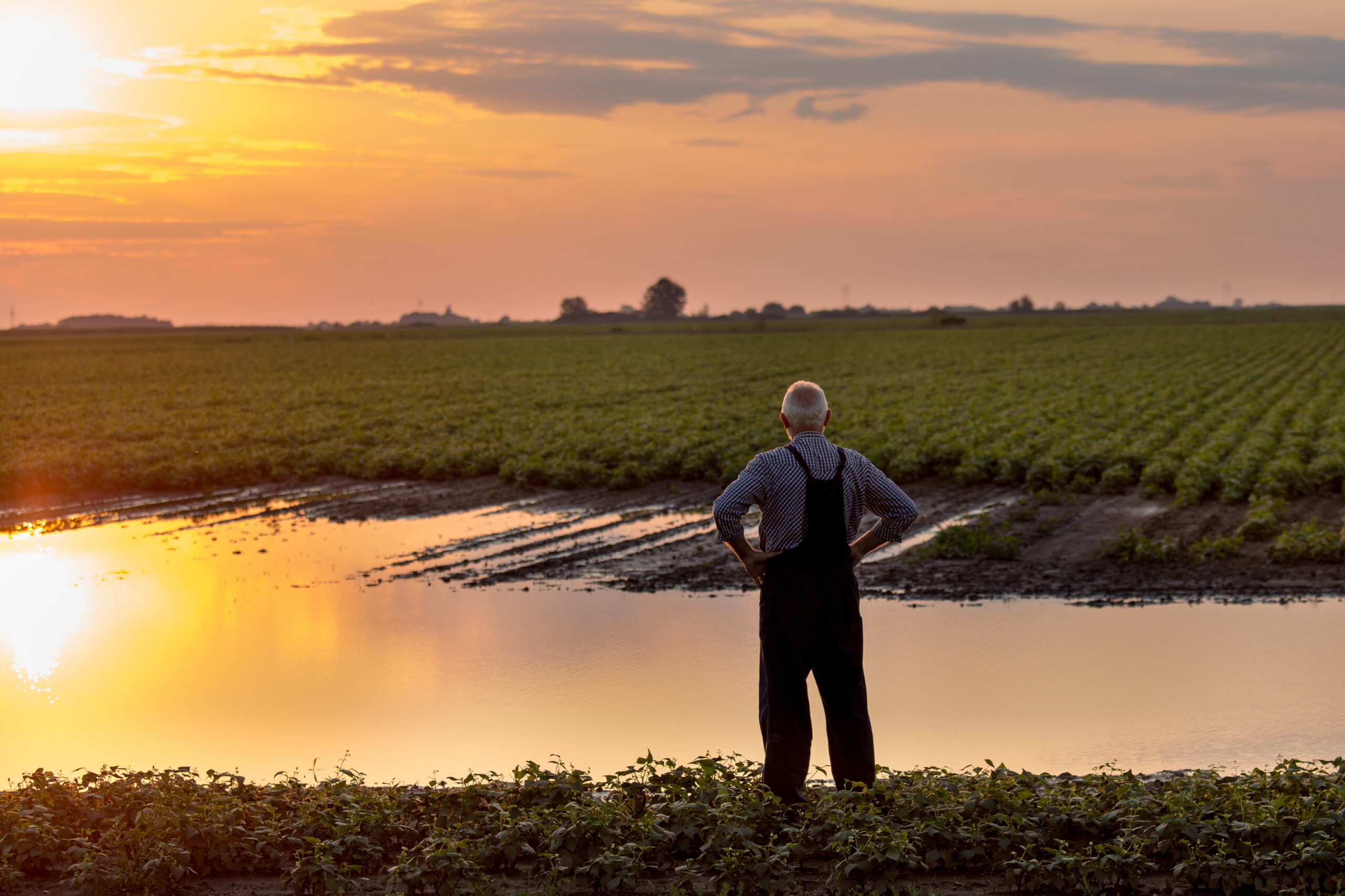 Lantbrukare står och tittar över sin åker som har blivit översvämmad
