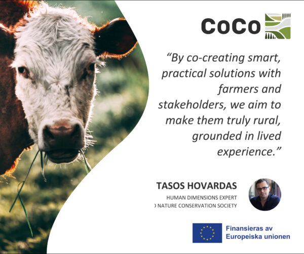 Närbild på en ko som tuggar gräs i en solbelyst hage, bredvid COCO-logotyp och citatet: “By co-creating smart, practical solutions with farmers and stakeholders, we aim to make them truly rural, grounded in lived experience.” TASOS HOVARDAS. Finansieras av Europeiska unionen.