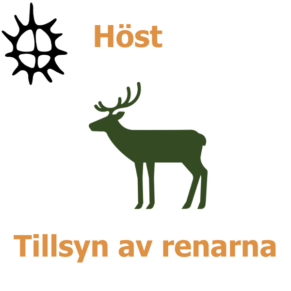 Illustration med en mörkgrön ren i profil, med horn, under rubriken ”Höst”. En stiliserad solsymbol syns uppe till vänster. Texten ”Tillsyn av renarna” står längst ner på vit bakgrund.