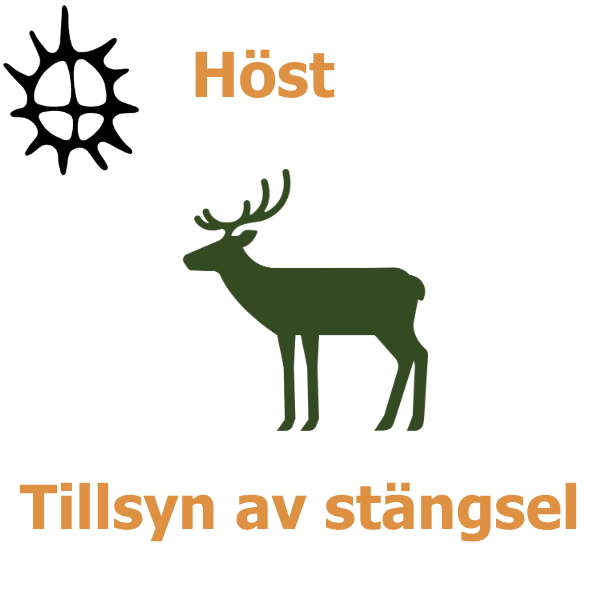 Ikoner visar en svart sol, en grön hjort och texten “Höst” samt “Tillsyn av stängsel”, som illustrerar höstrelaterad kontroll av stängsel, troligen i natur- eller betesmiljö.