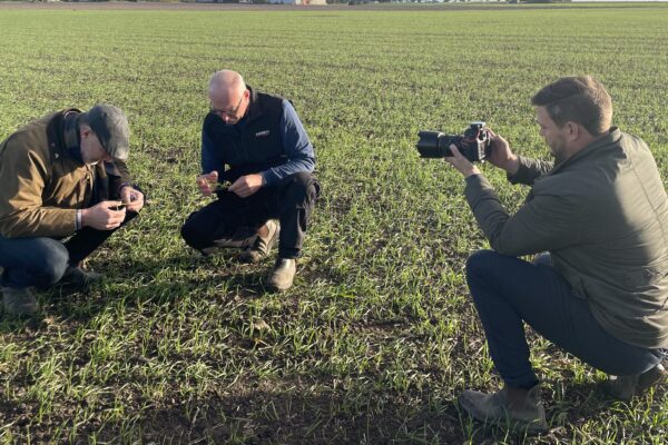 Tre män sitter på huk i en grön åker; två granskar växter och jord i händerna medan den tredje fotograferar dem med en systemkamera. Solen lyser lågt över fältet, och man ser gårdsbyggnader i fjärran.