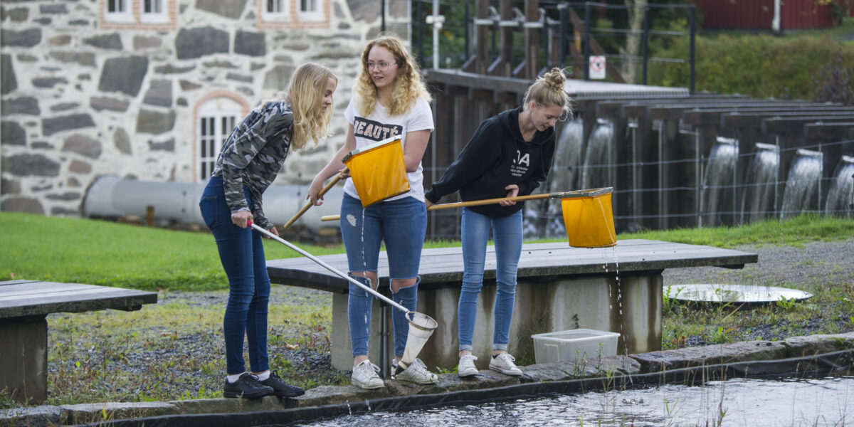 Tre elever håvar i en kanal med gula nät och en liten håv, medan vatten rinner ur näten. De står vid en damm nära en stenbyggnad och en sluss med vattenfall i bakgrunden.