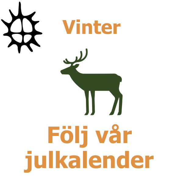 Grön siluett av en ren med horn står i mitten, med rubriken ”Vinter” ovanför och texten ”Följ vår julkalender” under. Uppe till vänster syns en svart, stiliserad solsymbol på vit bakgrund.