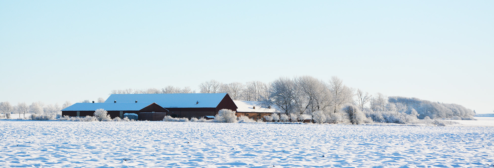 Vintervy över gården Lilla Böslid med snötäckt åkermark i förgrunden, röda gårdsbyggnader och frostklädda träd under klar blå himmel.