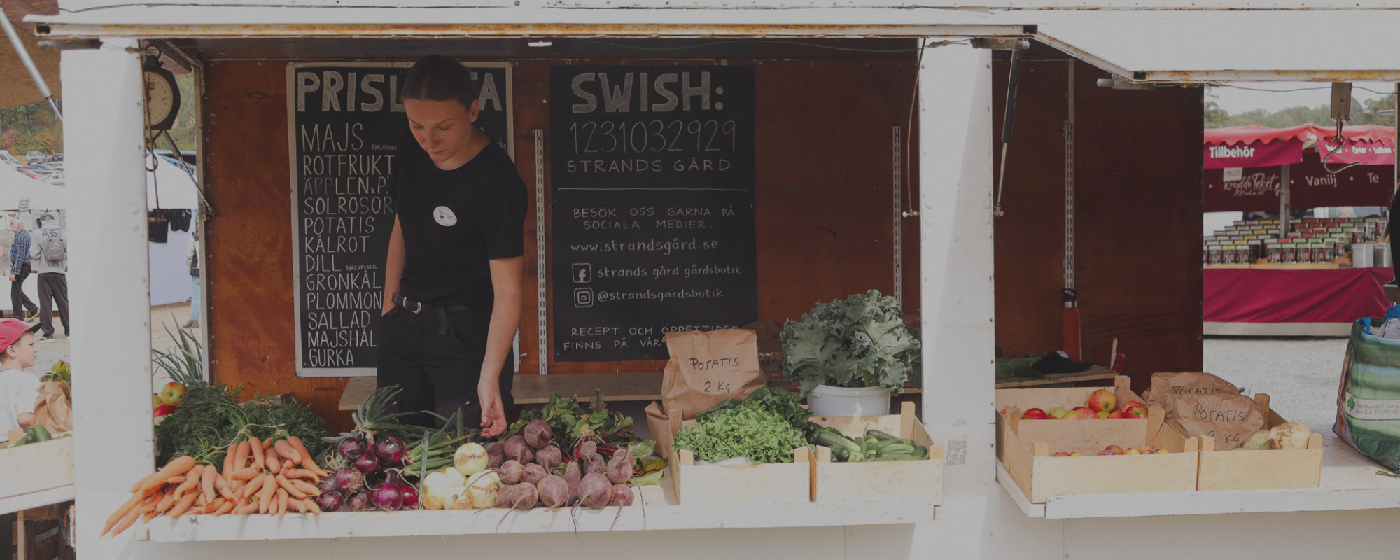 Jag vill ställa ut! 