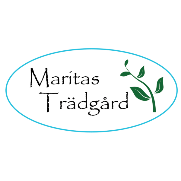 Logotyp med texten ”Maritas Trädgård” i svart, placerad i en ljusblå oval ram. Till höger växer en stiliserad grön kvist med tre blad, som förstärker trädgårdstemat på vit bakgrund.