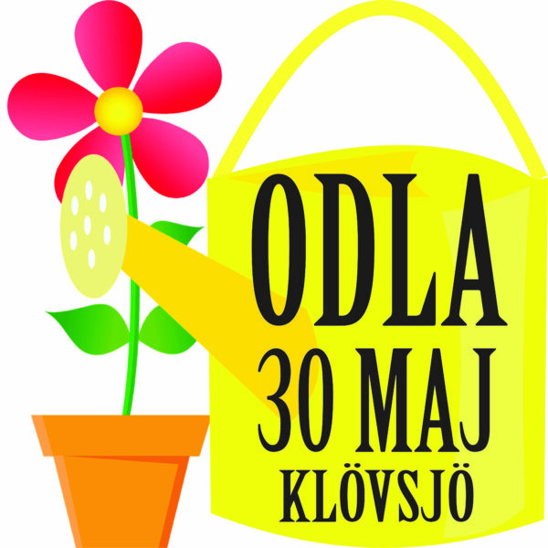 Gul vattenkanna med texten “ODLA 30 MAJ KLÖVSJÖ” står bredvid en rosa blomma i orange kruka; ur kannans munstycke strålar en gul vattensprut mot blomman på vit bakgrund.