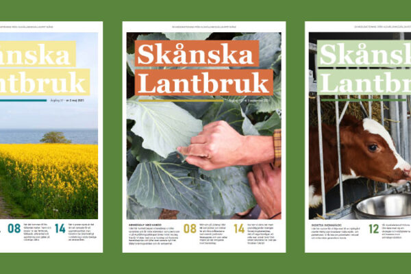 Fem omslag av tidningen ”Skånska Lantbruk” visas i rad mot grön bakgrund, med motiv av grödor, rapsfält, händer som inspekterar kålblad, kalvar i stall och två personer som arbetar på en åker.